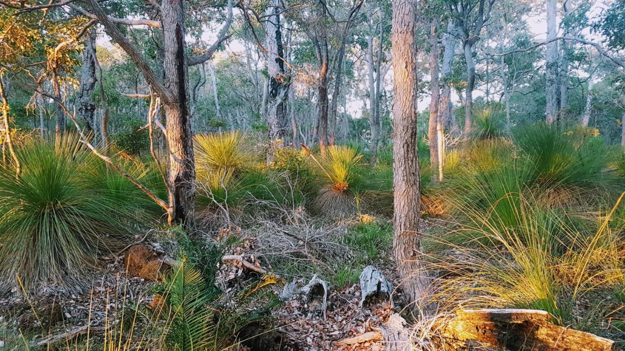 Bussells Bushland Cottages Margaret River Exterior foto